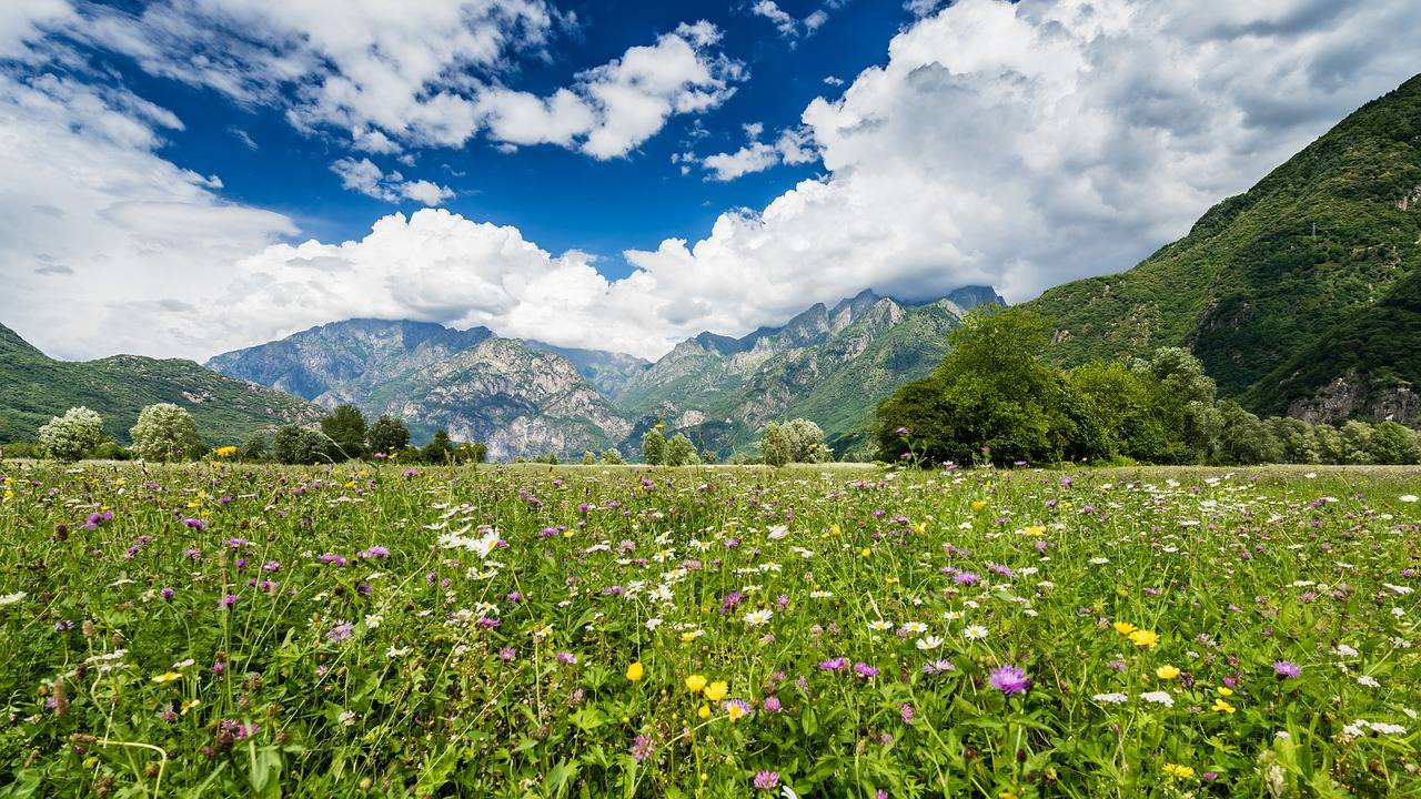 Valtellina